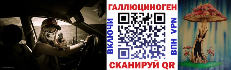 Галлюциногенные грибы прущие грибы  закладка  Салаир 
