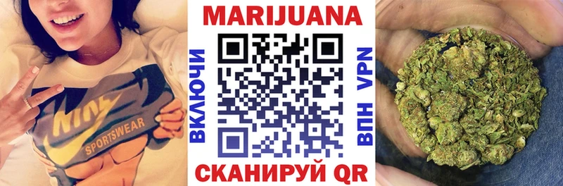 Канабис гибрид  Салаир 